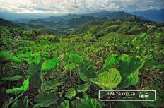 Doi Ang Khang National Park