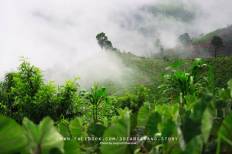 Doi Ang Khang National Park