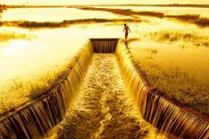 อ่างเก็บน้ำหนองช้างใหญ่