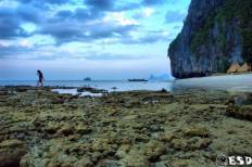 เกาะเหลาเหลียง