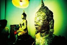 วัดเจ้าอาม