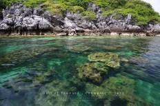 อุทยานแห่งชาติหมู่เกาะชุมพร
