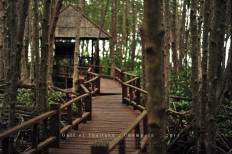 อุทยานแห่งชาติหมู่เกาะชุมพร