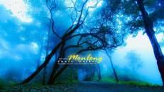 Doi Mon Long