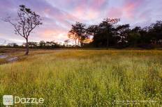 Pha Taem National Park