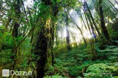 Doi Inthanon National Park