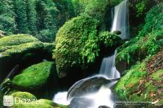 อุทยานแห่งชาติภูหินร่องกล้า