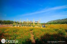 Jim Thompson Farm
