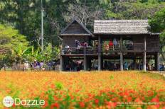 Jim Thompson Farm