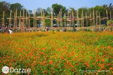 Jim Thompson Farm