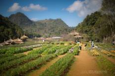 Angkhang Royal Agricultural Station