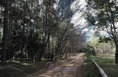 Angkhang Royal Agricultural Station