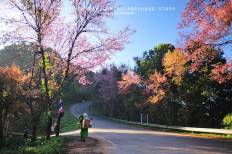 Angkhang Royal Agricultural Station