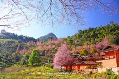 Angkhang Royal Agricultural Station