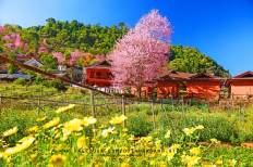 Angkhang Royal Agricultural Station