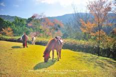 Angkhang Royal Agricultural Station