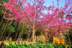 Angkhang Royal Agricultural Station
