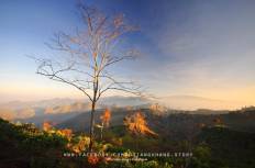 Doi Ang Khang National Park