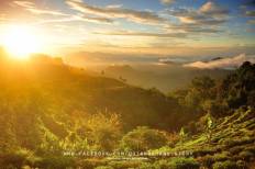 Doi Ang Khang National Park