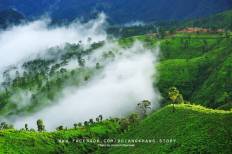 Doi Ang Khang National Park