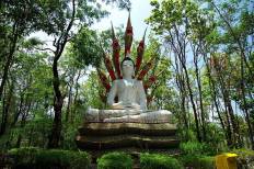วัดอนาลโยทิพยาราม