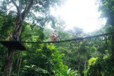 Flying Squirrels