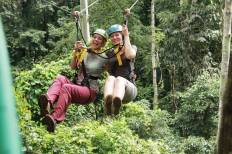 Flying Squirrels