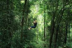 Flying Squirrels