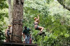 Flying Squirrels