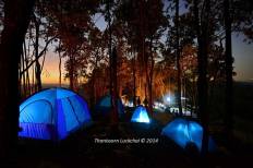 บ้านนาต้นจั่น