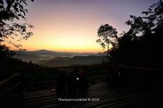 บ้านนาต้นจั่น