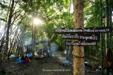 บ้านนาต้นจั่น