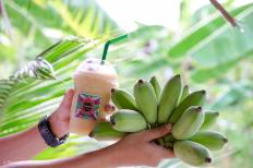 Banana Farm