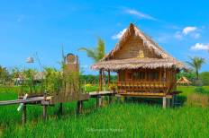 นาโปแก