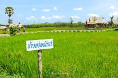 นาโปแก