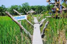 นาโปแก
