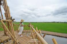 หอชมทุ่งบ้านต้นตาล
