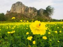 วู้ดเฮ้าส์ เขาฉกรรจ์