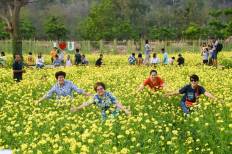 วู้ดเฮ้าส์ เขาฉกรรจ์