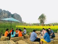 วู้ดเฮ้าส์ เขาฉกรรจ์