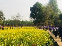 วู้ดเฮ้าส์ เขาฉกรรจ์