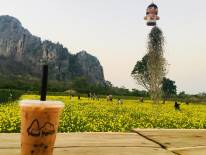 วู้ดเฮ้าส์ เขาฉกรรจ์