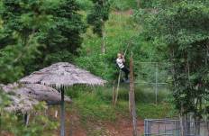 Suan Phueng Highland