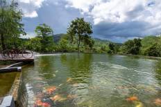 Suan Phueng Highland