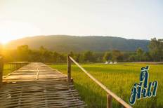 De Mena Camping