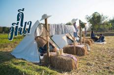 De Mena Camping