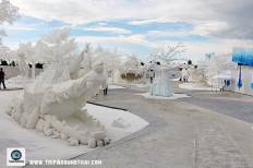Frost Magical Ice of Siam