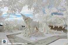 Frost Magical Ice of Siam