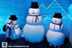 Frost Magical Ice of Siam