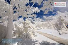 Frost Magical Ice of Siam